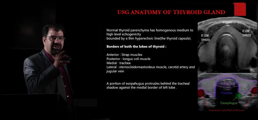 Professional Ultrasound Training Session
